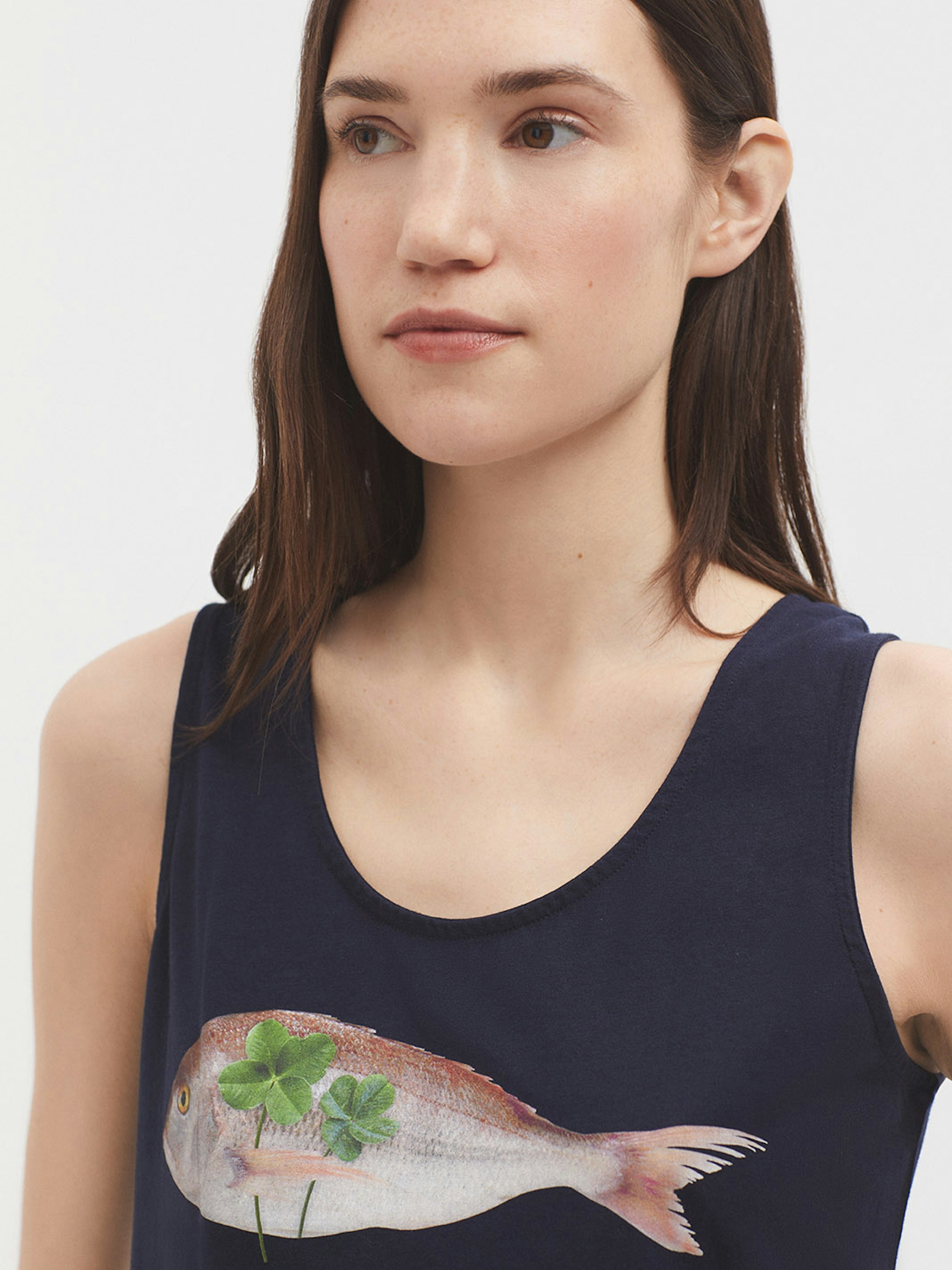 Fish tank top