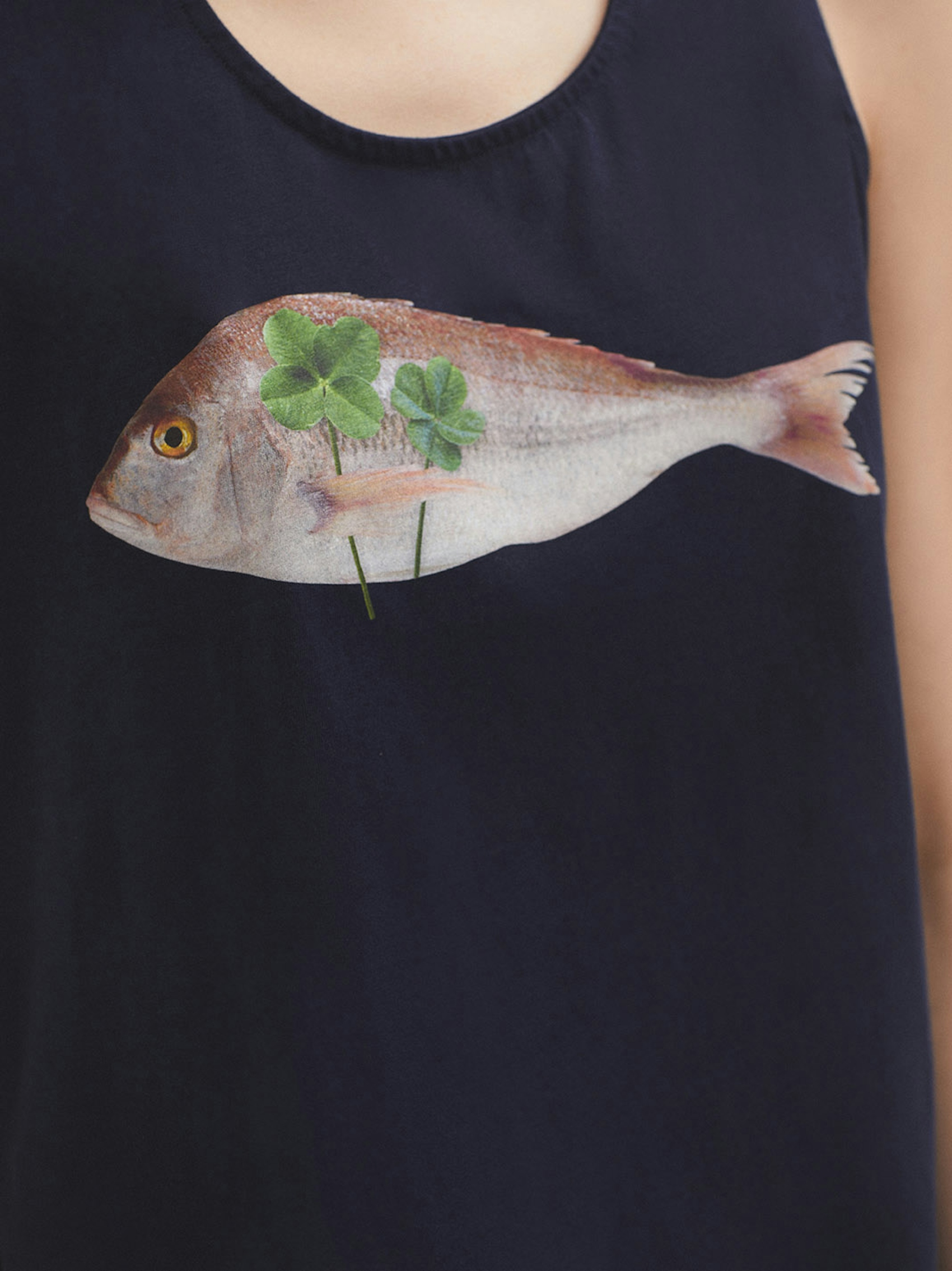Fish tank top