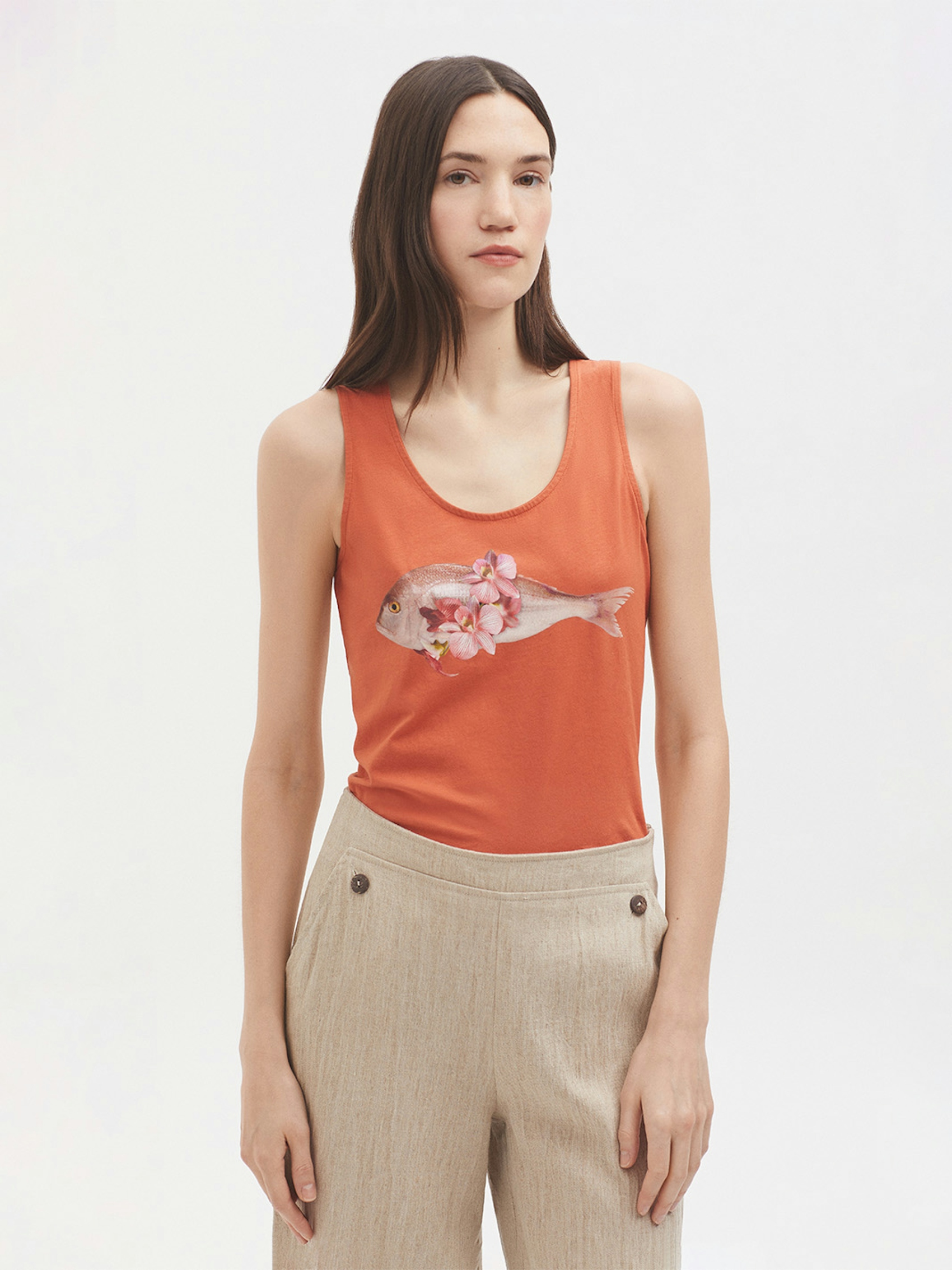 Fish tank top