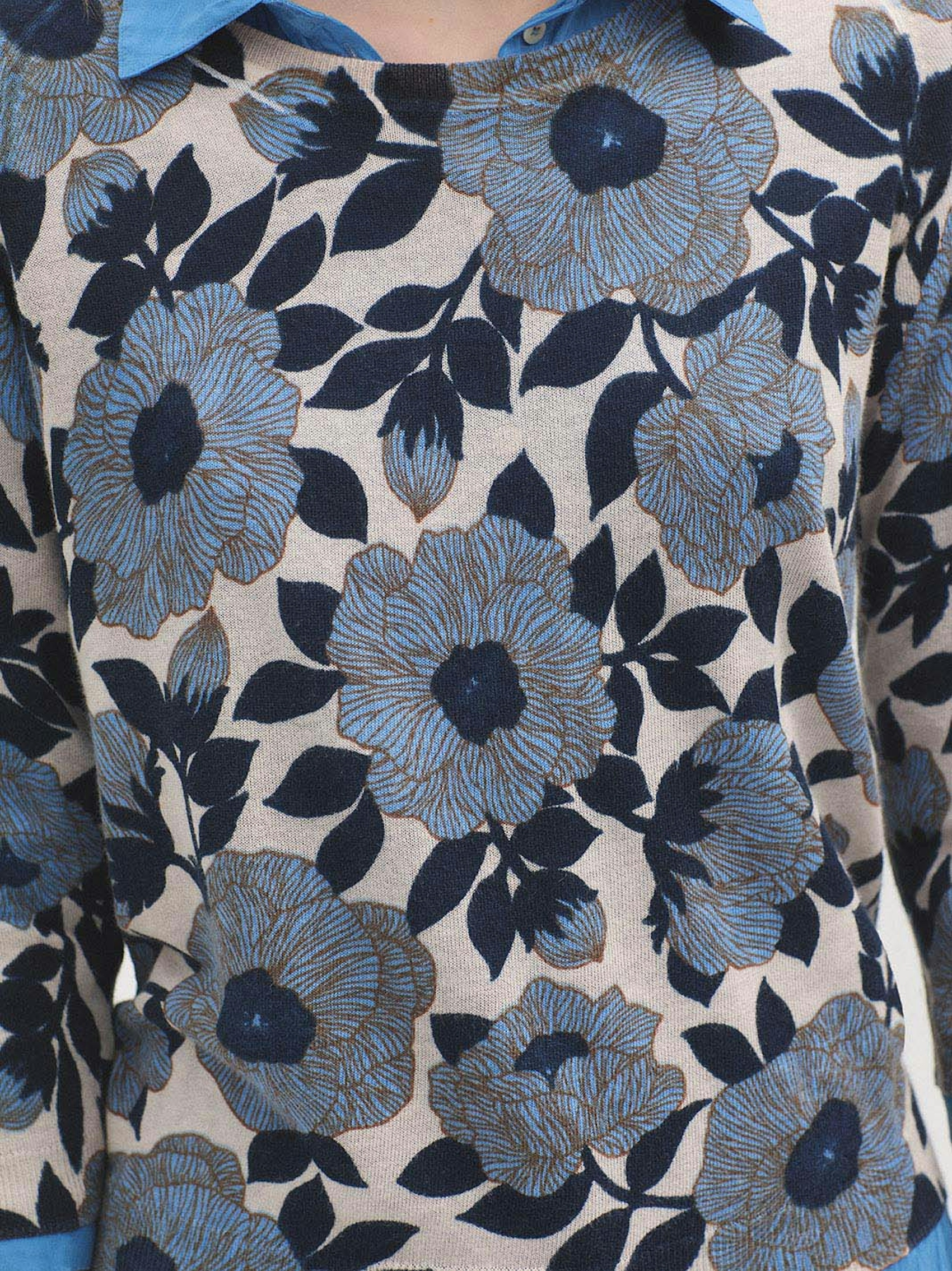 Jersey Camelia