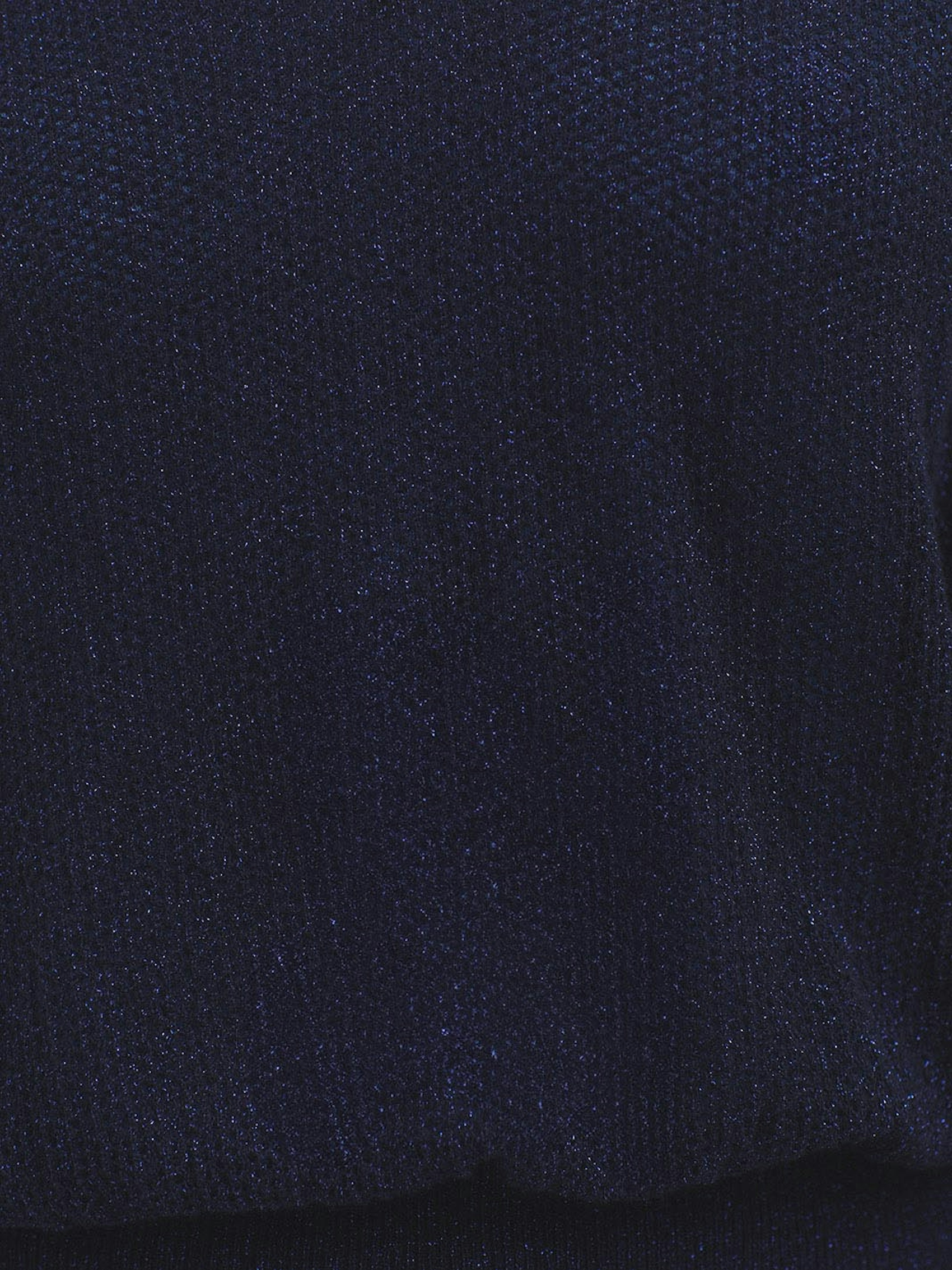Shiny batwing sleeve jumper